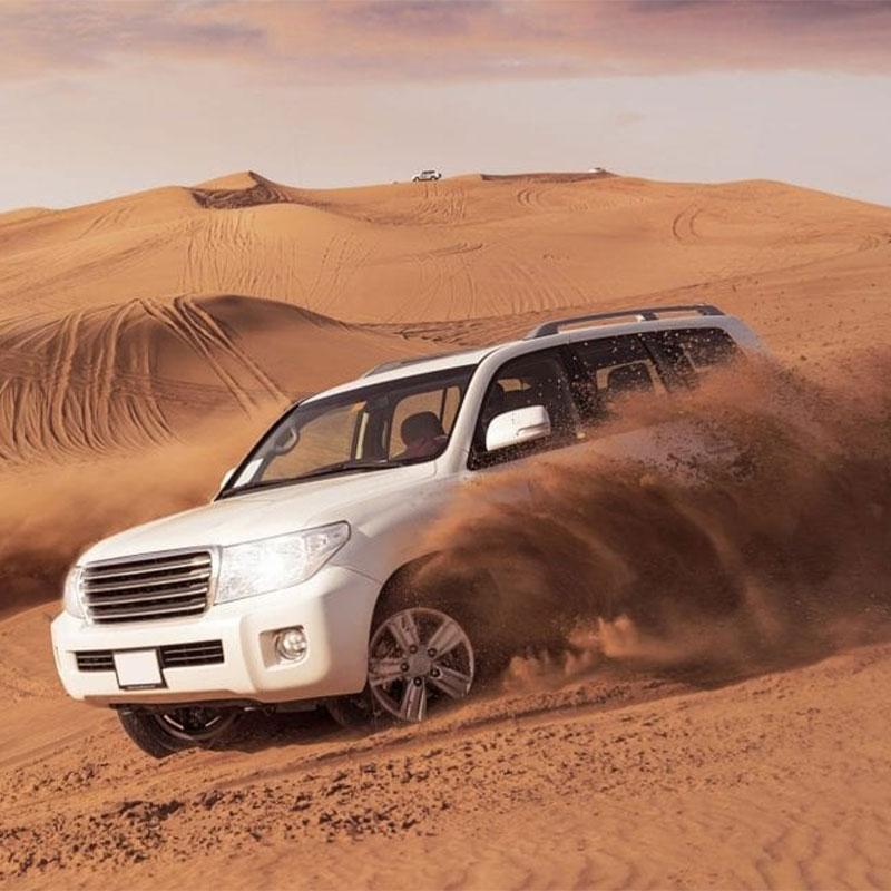 بلیط سافاری دبی